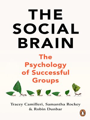 cover image of The Social Brain